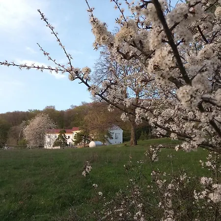 U Vajdov Stara Lehota