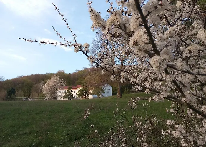 U Vajdov Stara Lehota